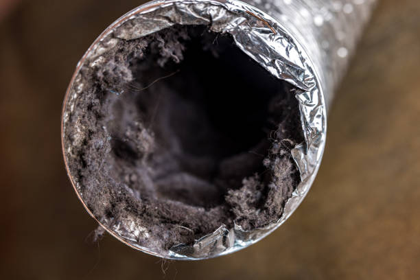 Best Duct Cleaning for Offices  in Salem, MO